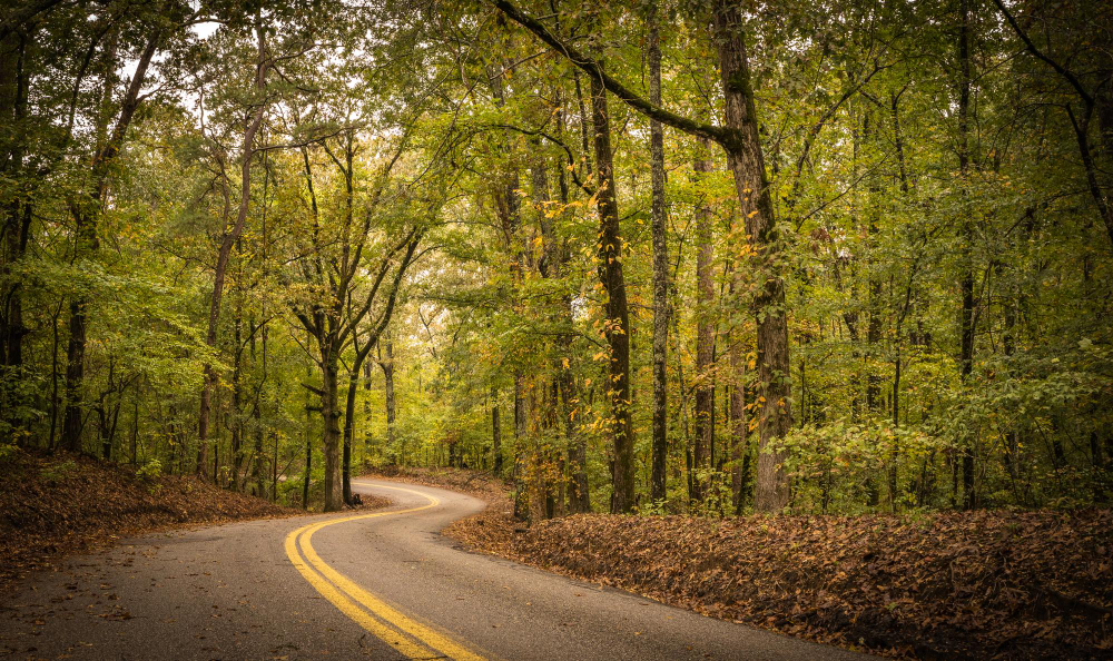 Taskforce on Nature-related Financial Disclosures (TNFD): A nova fronteira da sustentabilidade nos negócios e finanças